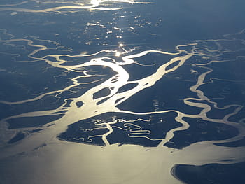 bažina, Florida, mokřadů, delta řeky, everglades