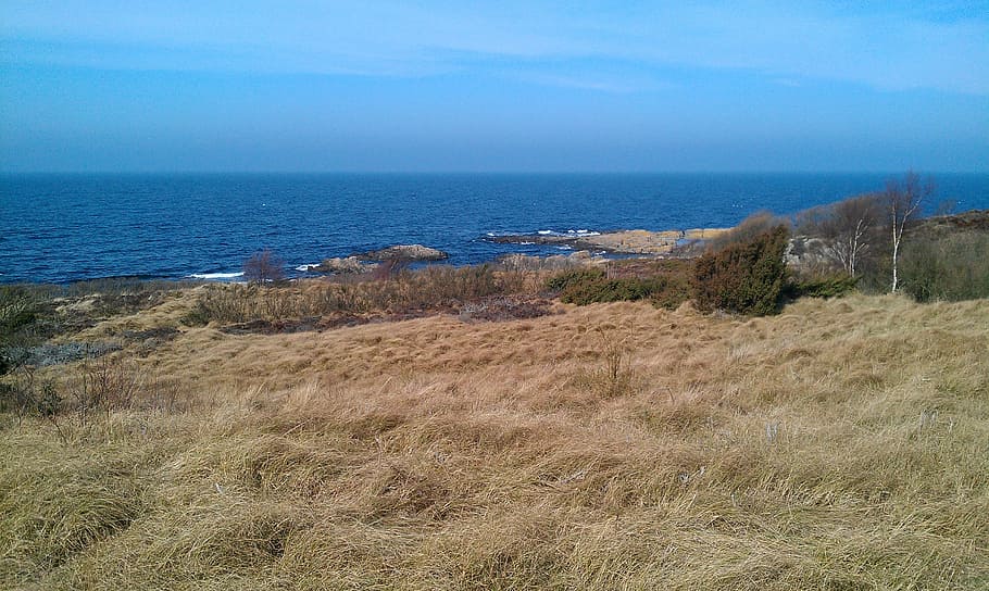 βράχια, θάλασσα, bornholm