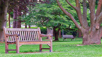 panchina del parco, banca, legna, albero, giardino, posto a sedere, riposo, panca da giardino, panchine, kurpark, pausa di riposo