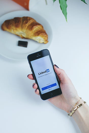 linkin, aplikace, mobilní, pohybliví, chytrý telefon, iphone, telefon, sociální média, podnikání, marketing, rohlík, jídlo