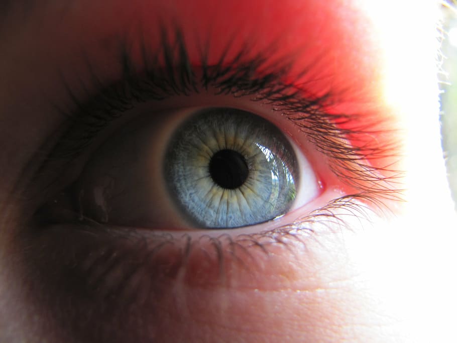 eye, blue, watch, blue eye, macro, szupermakró