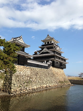 nakatsu castle, castle, ishigaki, stone, old, wall, stone walls, building, historically, stone masonry, the walls of the castle
