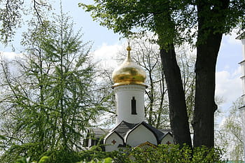 katedrála, ruština, kostel, ortodoxní, budova, bílý, architektura, kupole, zlato, věže, oblouky