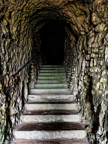 photography, concrete, stair, tunnel, steps, dark, sinister, unknown, adventure, underground, spooky