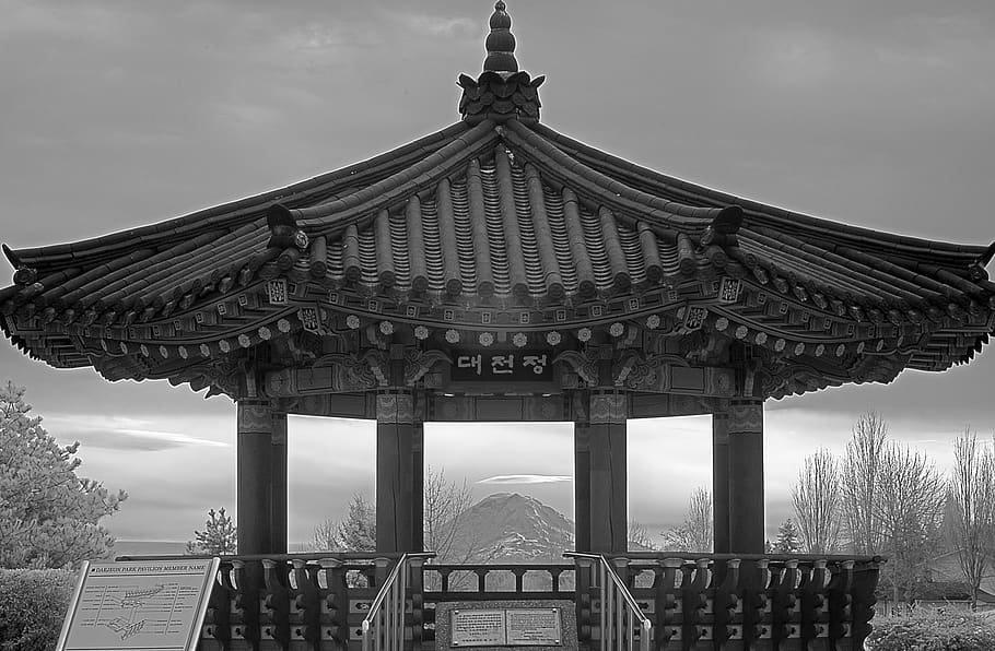 pavillon, Mount Rainier, seattle, monokrom, mt regnere, parkere, sort og hvid, Daejon, pagode