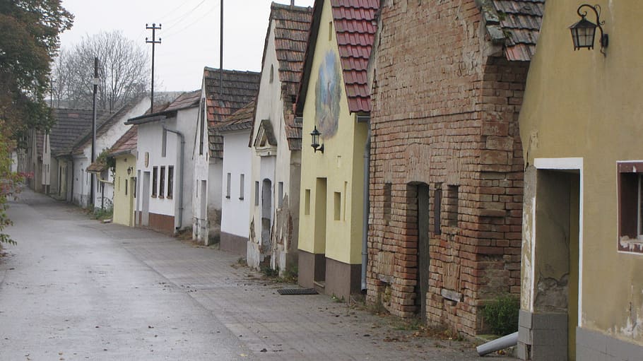 kellergasse, wine, wine village, village, home, building, facade, austria