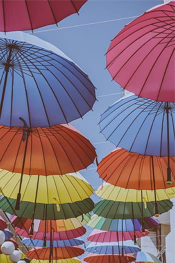 low, angle photography, assorted-color, hanged, umbrellas, taken, daytime, assorted, umbrella, wires, colors