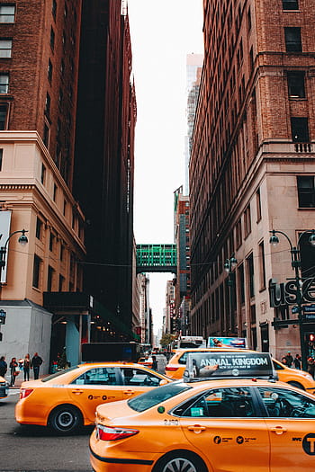 three, orange, taxi cabs, road, architecture, building, infrastructure, yellow, taxi, transportation, travel