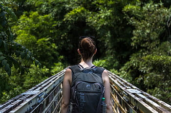 personnes, femme, fille, seul, en marchant, une randonnée, randonnée, Voyage, Montagne, pont, vert