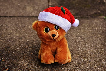 christmas, teddy, bear, stuffed animal, soft toy, santa hat, toys, cute, glitter eyes, funny, cuddly