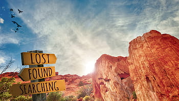 lost, found, searching, wooden, signage, brown, rock structure, lost and found, signpost, sign, directions