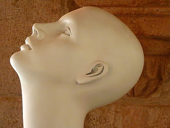 white, human, head mannequin, head, face, bald head, display dummy, doll, fashion, close-up, studio shot