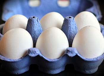 nærbillede foto, seks, hvid, æg, grå, ægbakke, æggekarton, hvide æg, høns æg, mad, æg æske