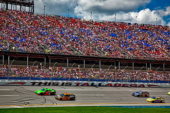 závodní auta, pole, talladega, alabama, plochodrážní, dráha, závody, závod, nascar, vozy, auta