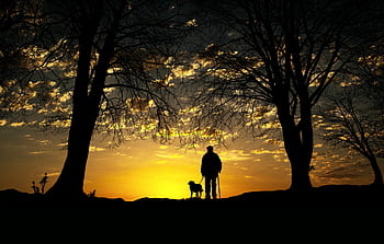camminare, cane, uomo, natura, paesaggio, escursioni a piedi, tramonto, silhouette, crepuscolo, dom, tranquillo, calmo