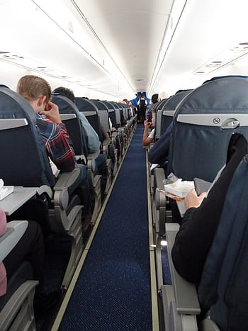 people inside airplane, aircraft, aircraft cabin, passengers, aircraft attendant, rows of seats, aircraft interior, travel, flight, air, transport