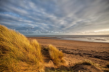 colpo di paesaggio, prese, dune di sabbia, est, Sussex, Sud, Inghilterra, paesaggio, tiro, sabbie da camber, Sussex orientale