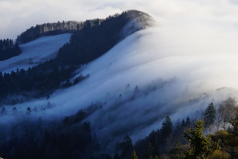 Eastern, Swiss Jura, Fog, jura, eastern jura, nebellandschaft, wave of fog, belchenflue, challhöchi, sea of fog, boelchen