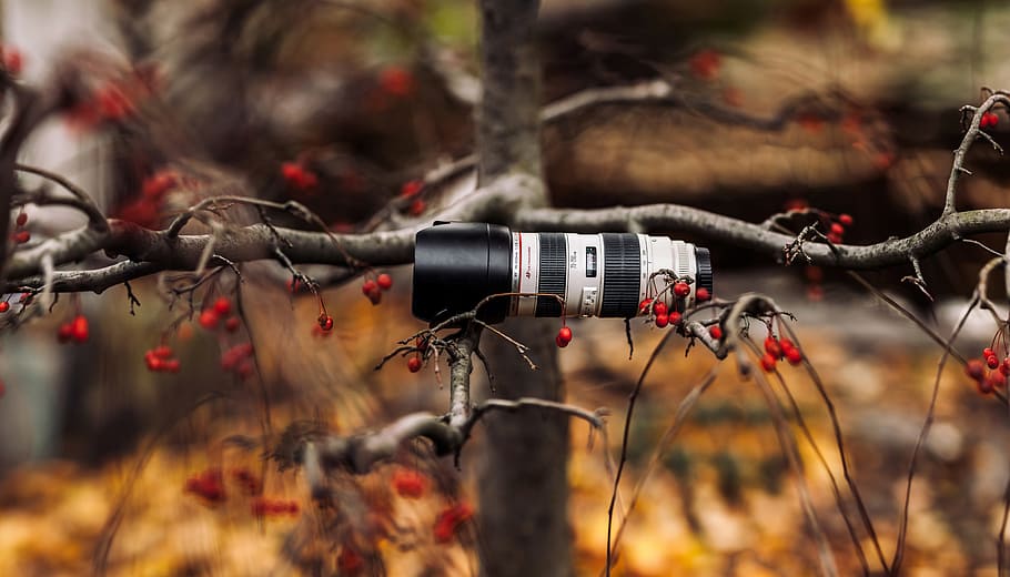 camera lens, telephoto, zoom, lens, camera, technology, photography, digital, equipment, photographer, professional