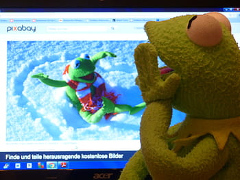 kermit, frog, plush, toy, watching, kermit video clips, computer, pixabay, see, preview image, pc