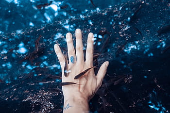person, hand, underwater, fish, swimming, around, palm, sea, water, aquatic, animal