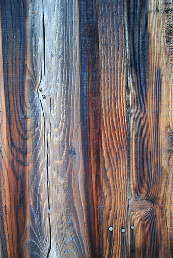 Wood Grain, Detail, Texture, wood, material, nature, outdoors, wood - material, timber, backgrounds, textured