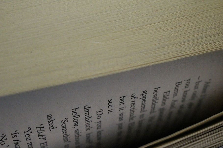 book, browse, pages, read, hobby