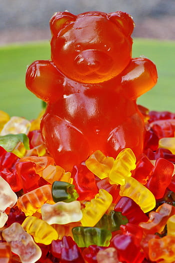gummibärchen, giant rubber bear, gummibär, fruit gums, bear, delicious, color, colorful, sweetness, gummi bears, haribo