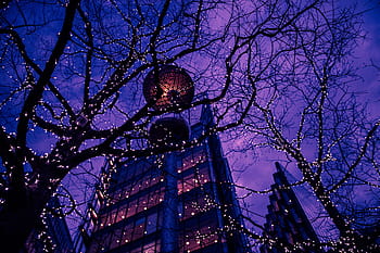 lights, buildings, night, central, london, Trees, at night, Central London, urban, building, city
