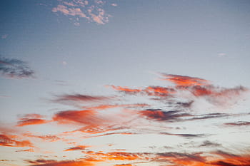 森、 夕日、 自然、 空、 木、 大気、 雲、 雲-空、 雲景、 天気、 青