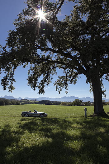 oak, tree, cabriolet, convertible, vehicle, auto, automotive, classic, mazda, mx5, sports car