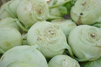 kohlrabi, vegetables, brassica oleracea var, gongylodes l, upper kohlrabi, upper beet, ruebkohl, stem turnip, vegetable plant, cultivar, cabbage