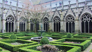 kostel, buxus, svatý, socha, víra, okno kostela, chudobinec, utrecht, Holandsko, Nizozemí, architektura