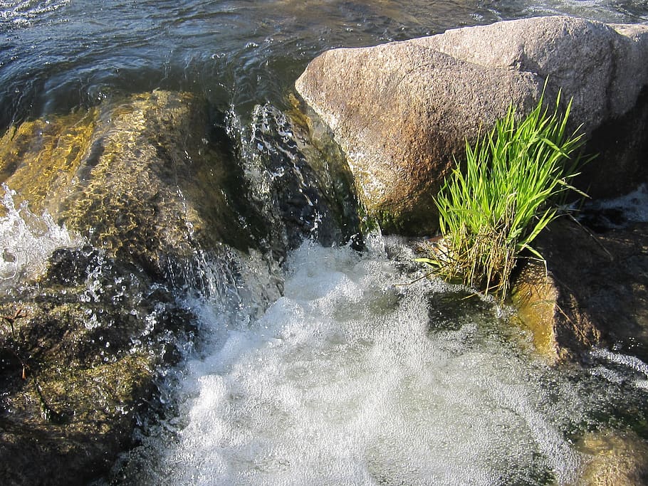 strudel, bach, water, schlücht, gurtweil, black forest, green