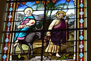 stained glass, window, church, colorful, leak, egypt, sainte, family, donkey, jesus, mary