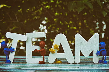 team, teamwork, together, strategy, cooperation, community, human, group, group work, cooperate, group of people
