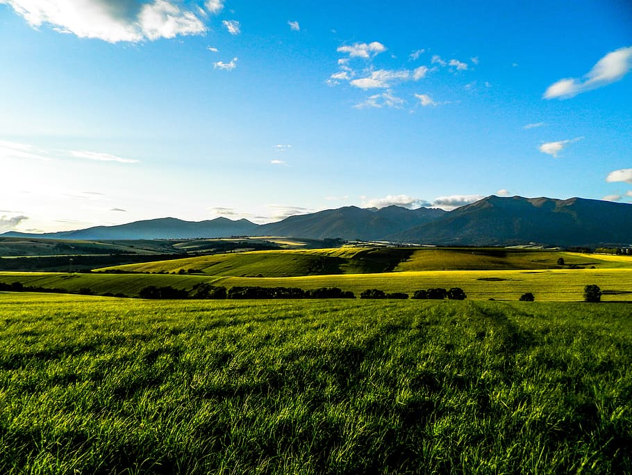 baranec, liptov, sky, meadow, field, mountain, slovakia, summer, the countryside
