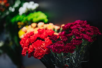flores, rosas, flora, lindo, buquê, colorido, bonito, Coleção, flor, buquês