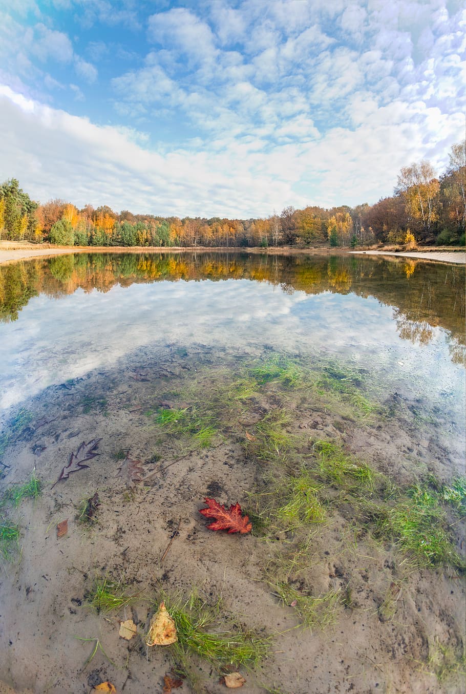 jezero, podzim, listy, barvitý, odraz, písek, Příroda, krajina, voda, les, nebe