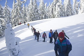 people, hiking, snow mountain, snowshoe walk, tourists, snow, winter, outdoors, trekking, lifestyle, travel