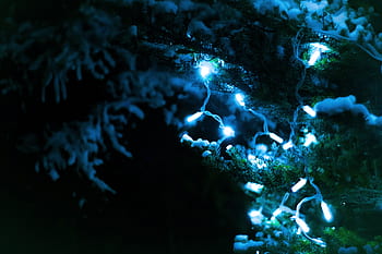 christmas, lights, tree, night, dark, winter, snow