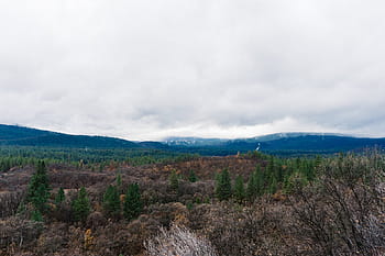 Waldfotografie, Grün, Bäume, Blau, Berge, unterhalb, wolkig, Himmel, Hügel, Felder, Gebüsch