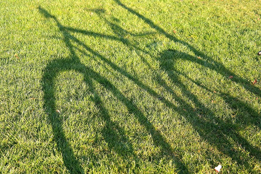 shadow, bike, green, grass, daytime, mountain bike, hispanic, wheel, meadow, light, nature