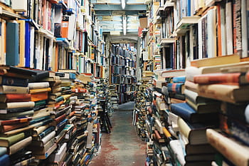book lot, books, library, education, literature, stack, study, reading, wisdom, novel, pile