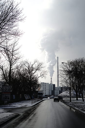 strom, silnice, zimní, venku, Příroda, pára, komín, rostlina, Napájení, kouř, smog