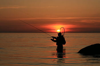 pêcheur, temps libre, le coucher du soleil, canne à pêche, mer, attraper des poissons, pêche, truite de mer, pêche à la truite de mer, Bornholm, pêche à la mouche