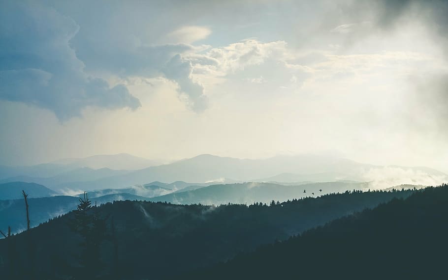 vysoký, stromy, kopců, uklidnit, nebe, mlhavé, východ slunce obloha, horizont, klidný, Příroda, krajina