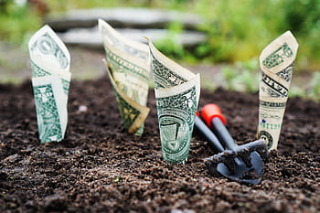 quatre, 1, nous, billets en dollars, sol, argent, croître, intérêt, enregistrer, investir, actions