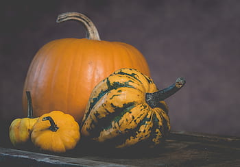 colorful, halloween, halloween pumpkin, orange, orange color, pumpkin, season, seasonal, autumn, food, vegetable