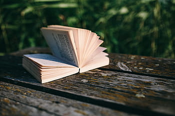 danau, buku bacaan, musim panas, istirahat, buku, santai, waktu, malam, jam ajaib, buku terbuka, sastra